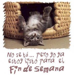 Buen Fin De Semana Chistoso