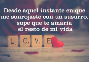 Desde Aquel Instante En Que Me Sonrojaste Con Un Susurro Supe Que Te Amaria El Resto De Mi Vida frases bonitas