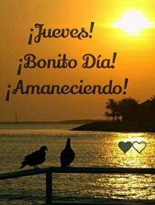 Dia Jueves Imagenes Para Celular Descargar