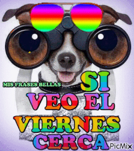 Día viernes