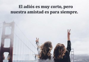 El Adios Es Muy Corto Pero Nuestra Amistad Es Para Siempre frases bonitas
