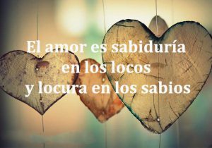 El Amor Es Sabiduria En Los Locos Y Locura En Los Sabios frases bonitas