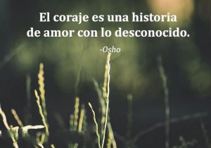 El Coraje Es Una Historia De Amor Con Lo Desconocido frases bonitas