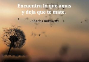 Encuentra Lo Que Amas Y Deja Que Te Mate frases bonitas