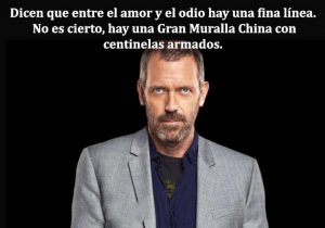 Entre el amor y el odio no hay una fina linea hay una gran muralla china con centinelas armados frases bonitas