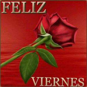 Feliz Dia Viernes