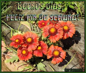 Feliz Fin De Semana Amiga