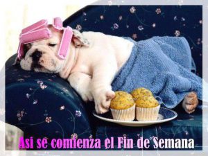 Feliz Fin De Semana Cristiano