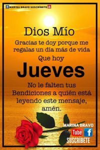 Feliz Jueves Amigos Frases