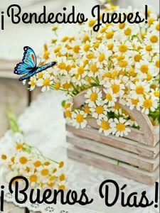 Feliz Jueves Amor Mio