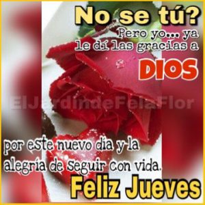 Feliz Jueves Amor Mio Para Whatsapp