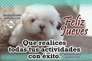 Feliz Jueves Amor Para Celular Descargar