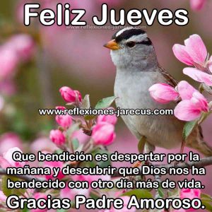 Feliz Jueves Casi Viernes Para Celular Descargar