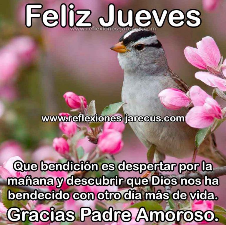 Feliz Jueves Casi Viernes Para Celular Descargar