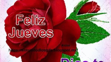 Photo of Feliz Jueves Con Flores Para Facebook
