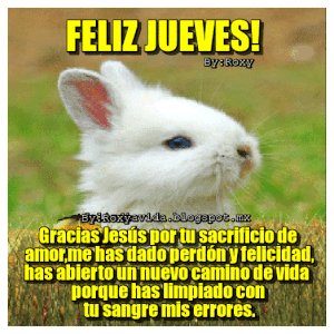Feliz jueves frases bonitas para celular descargar