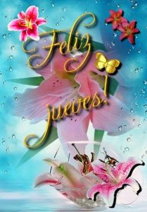 Feliz Jueves Mi Vida