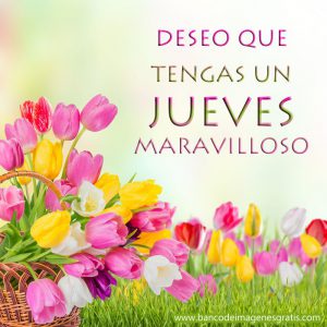 Feliz jueves navideño