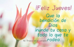 Feliz Tarde Jueves