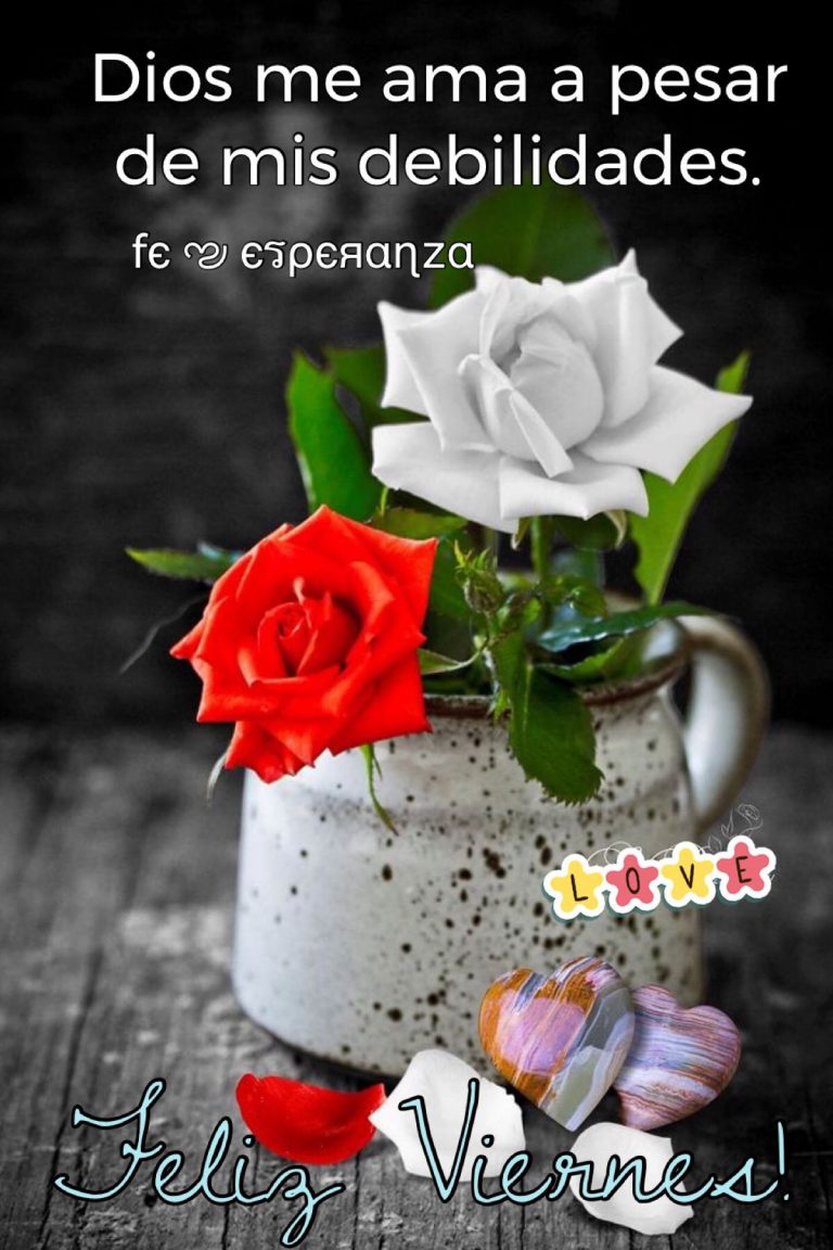 Feliz Viernes Amigos Frases