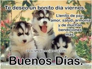 Feliz Viernes Amigos Y Amigas