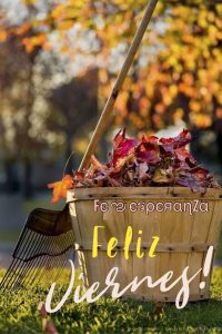 Feliz Viernes Amigos Y Amigas Para Whatsapp