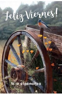 Feliz Viernes Amor Mio