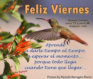 Feliz Viernes Con Imagenes Para Whatsapp