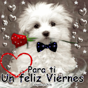 Feliz viernes con jesús