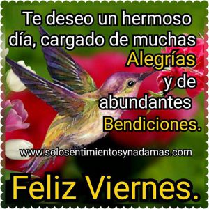 Feliz Viernes Gatitos