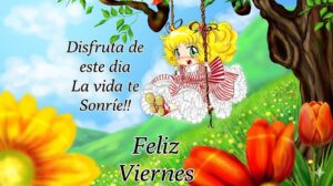 Feliz viernes lluvioso