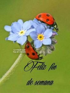 Feliz Viernes Y Buen Fin De Semana