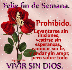 Feliz viernes y feliz fin de semana