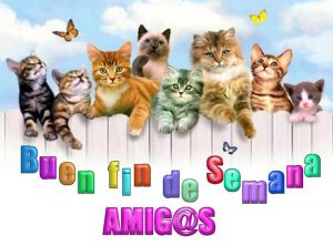 Fin De Semana Feliz Frases