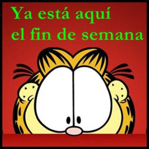 Fotos De Buen Fin De Semana