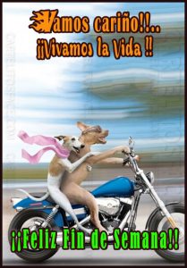Fotos De Fin De Semana Graciosas