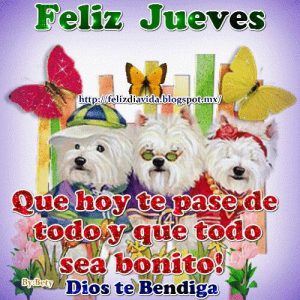 Fotos Feliz Jueves Para Whatsapp