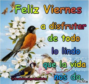 Fotos Feliz Viernes Para Whatsapp