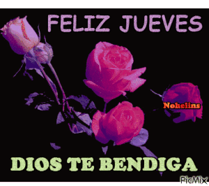 Frases bonitas de feliz jueves