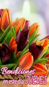 Frases Bonitas De Jueves Para Celular Descargar