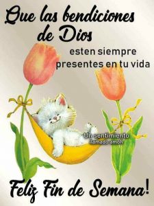 Frases bonitas fin de semana