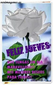 Frases Bonitas Para El Dia Jueves Para Celular Descargar
