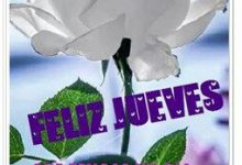 Photo of Frases Bonitas Para El Dia Jueves Para Celular Descargar