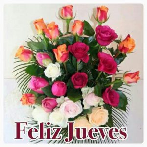 Frases Bonitas Para Hoy Jueves Para Celular Descargar