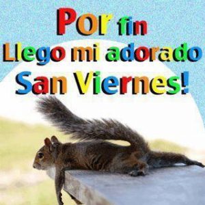 Frases De Amor Para Viernes