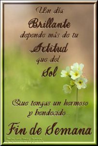 Frases De Bonito Fin De Semana