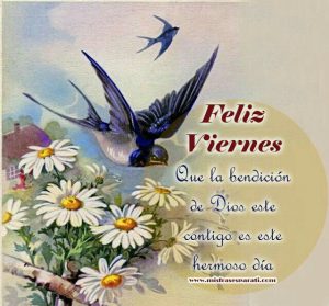 Frases De Feliz Dia Viernes