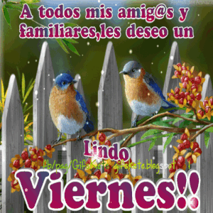 Frases de hoy es viernes