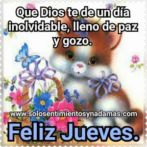 Frases De Hoy Jueves