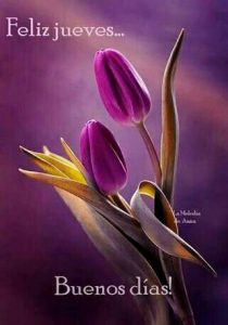 Frases De Lindo Jueves Para Facebook